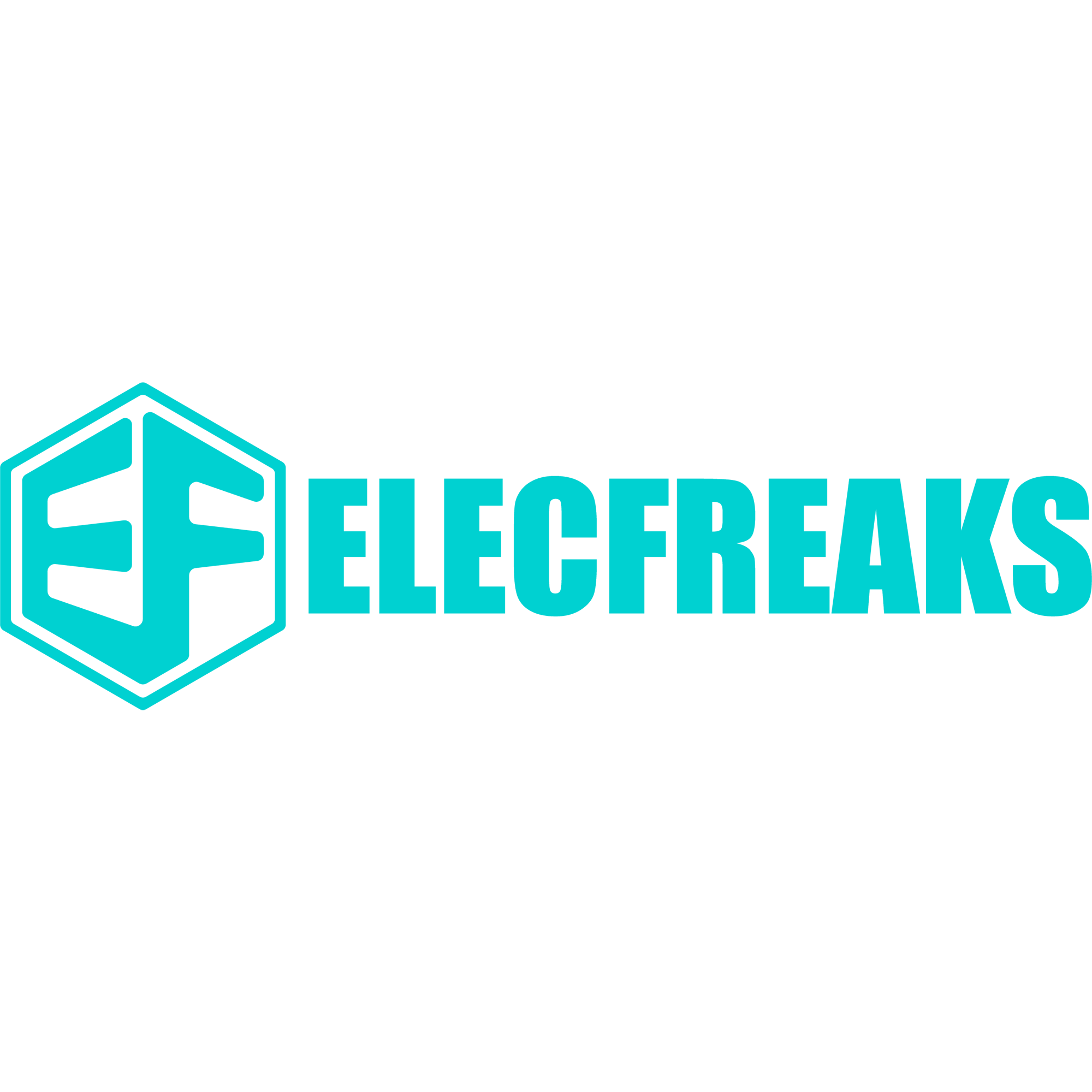 ELECFREAKS Cultural T-shirt