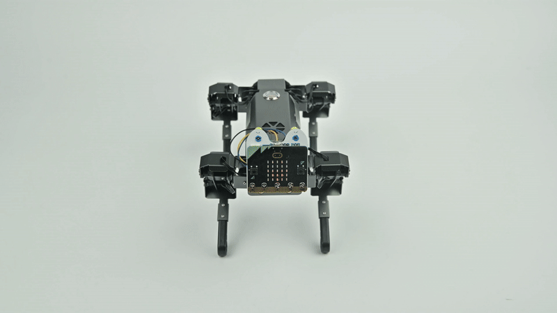 Quadruped walking robot powered by micro bit expansion board, demonstrating four-leg movement and STEM robotics project application