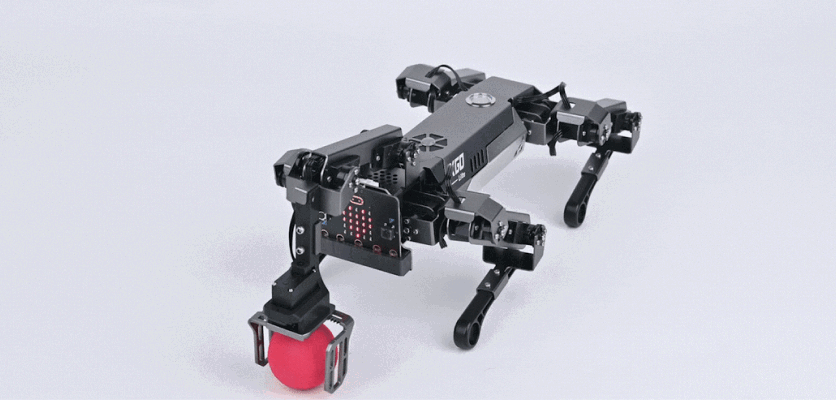 XGO robot quadruped demonstrating motion control by playing with a red ball using its robotic arm and micro:bit adapter