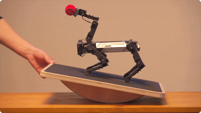Quadruped robot dog balancing on a tilting platform while holding a red ball with its mechanical arm, demonstrating robotics stability and STEM learning features