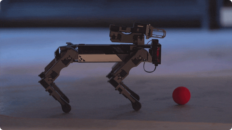Quadruped robot dog walking forward to track and approach a red ball using its mechanical arm, demonstrating robotics learning and STEM education applications