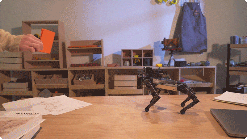 Quadruped robot dog on a desk recognizing and responding to a red color card, showcasing AI vision, STEM education, and interactive robotics learning