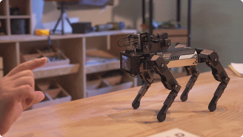 Quadruped robot dog standing on a desk, responding to a human hand gesture with its four-legged movement, demonstrating interactive STEM robotics learning and mechanical arm adaptability