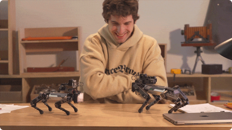Two quadruped robot dogs interacting playfully on a desk with a smiling person, showcasing mechanical arm movement, four-legged stability, and applications in STEM education and robotics learning